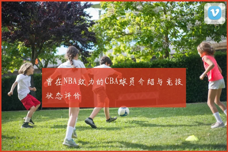 曾在NBA效力的CBA球员介绍与竞技状态评价