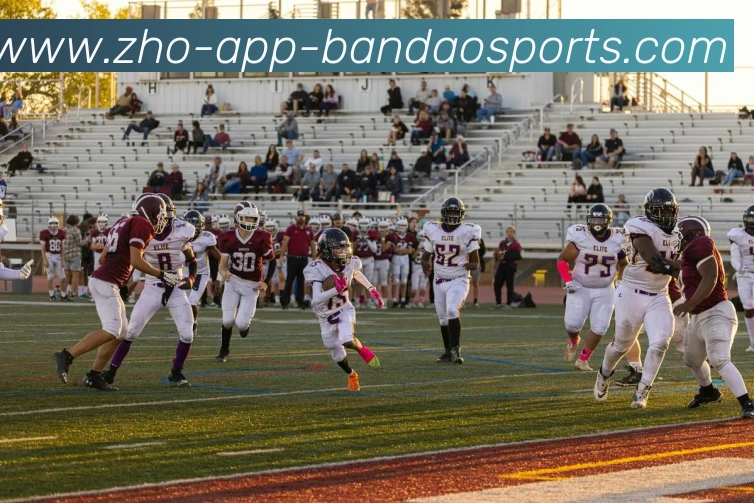 半岛体育APP 封面图