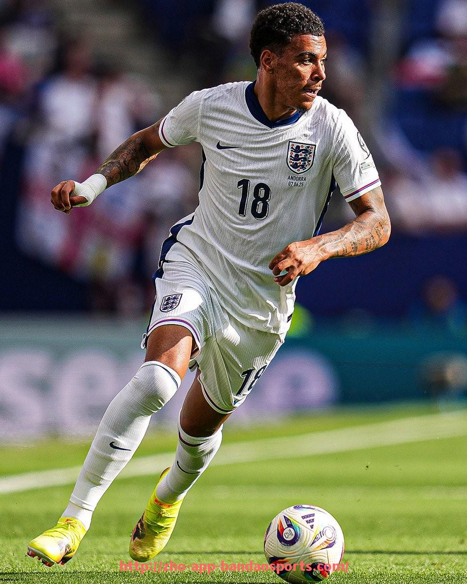 半岛体育app-2025世俱杯现场观赛人数最新统计数据