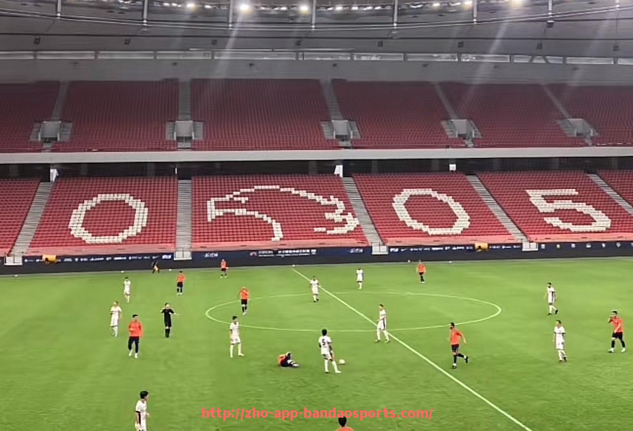 半岛体育app-法甲球员表现分析及赛季亮点全面盘点